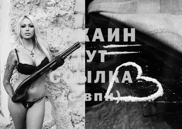 стаф Бронницы