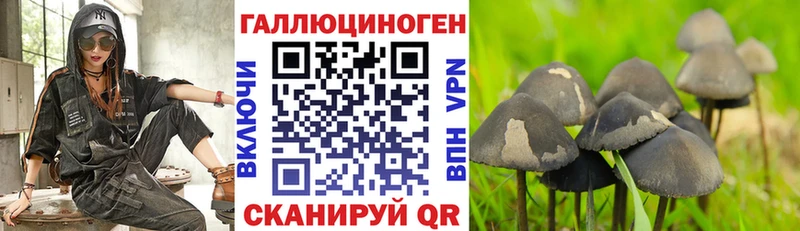 МЕГА сайт  Истра  Псилоцибиновые грибы MAGIC MUSHROOMS 