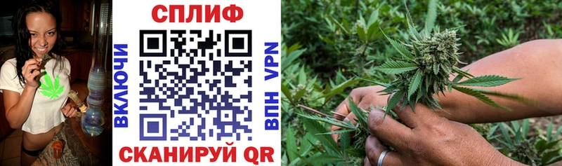 Шишки марихуана SATIVA & INDICA  ссылка на мегу ССЫЛКА  Истра  купить наркотики сайты 